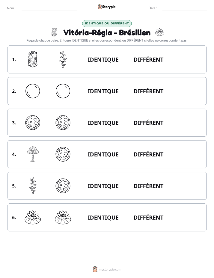 Identique ou Différent