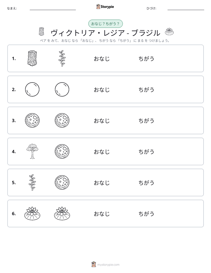 同じか違うか