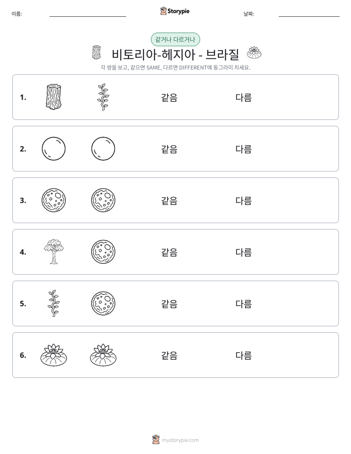 같은 것 또는 다른 것