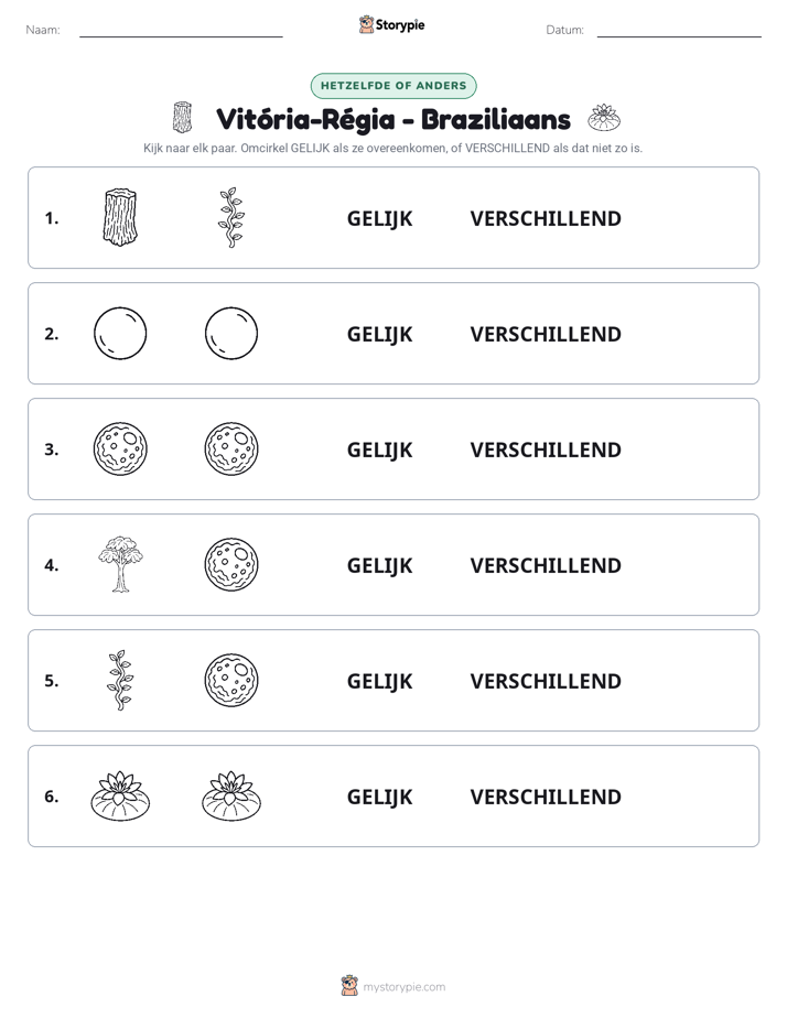 Zelfde of Verschillend