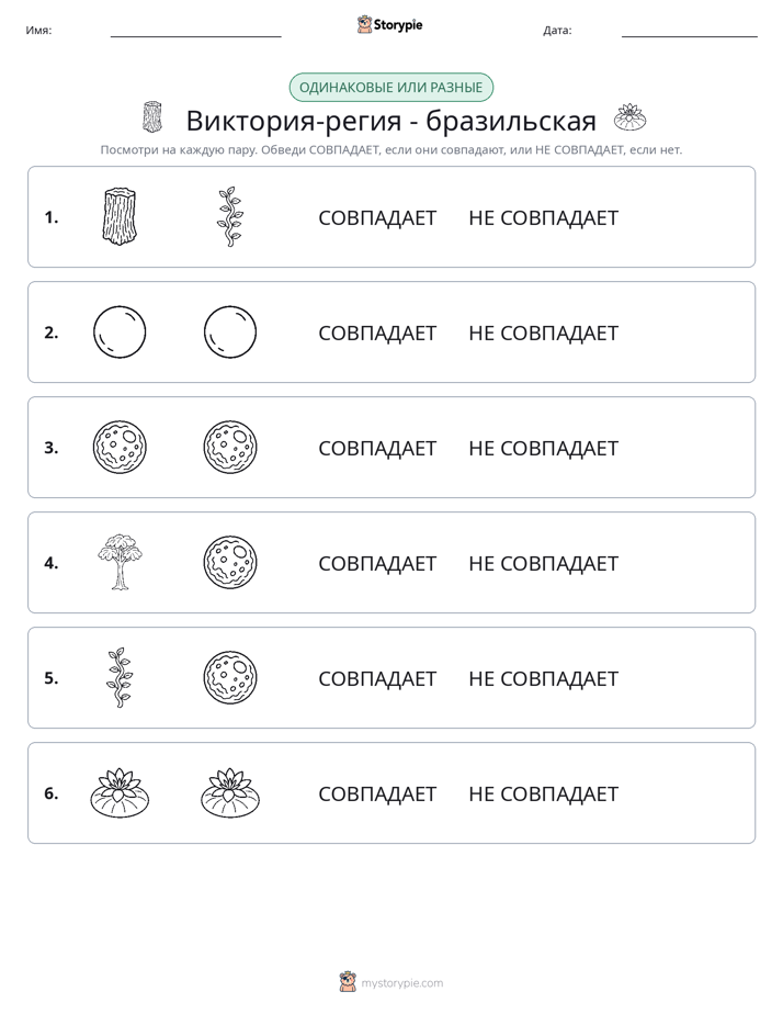 Одинаковое или разное