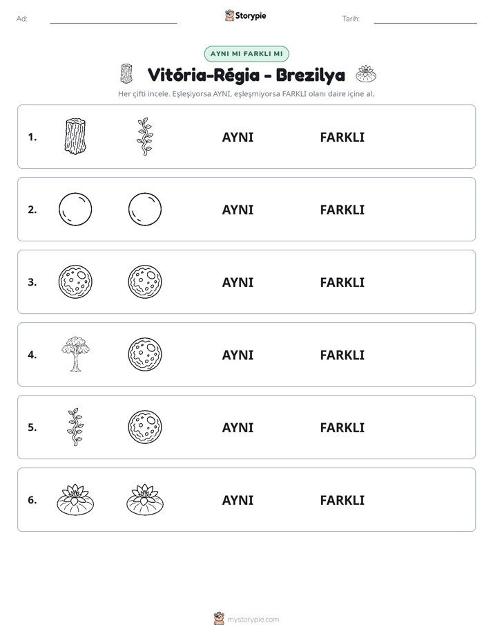 Aynı mı Farklı mı