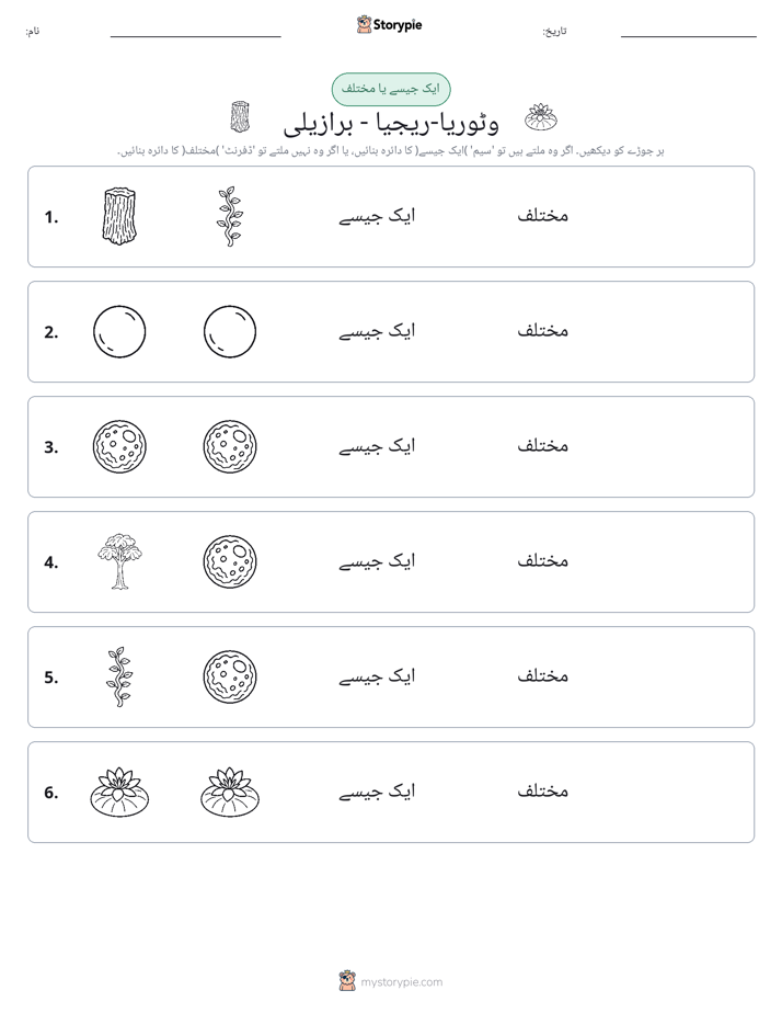 ایک جیسا یا مختلف