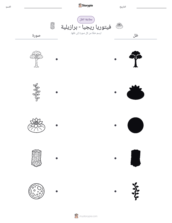 مطابقة الظل
