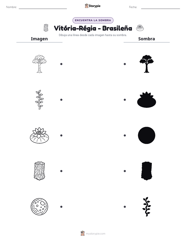 Coincidencia de Sombras