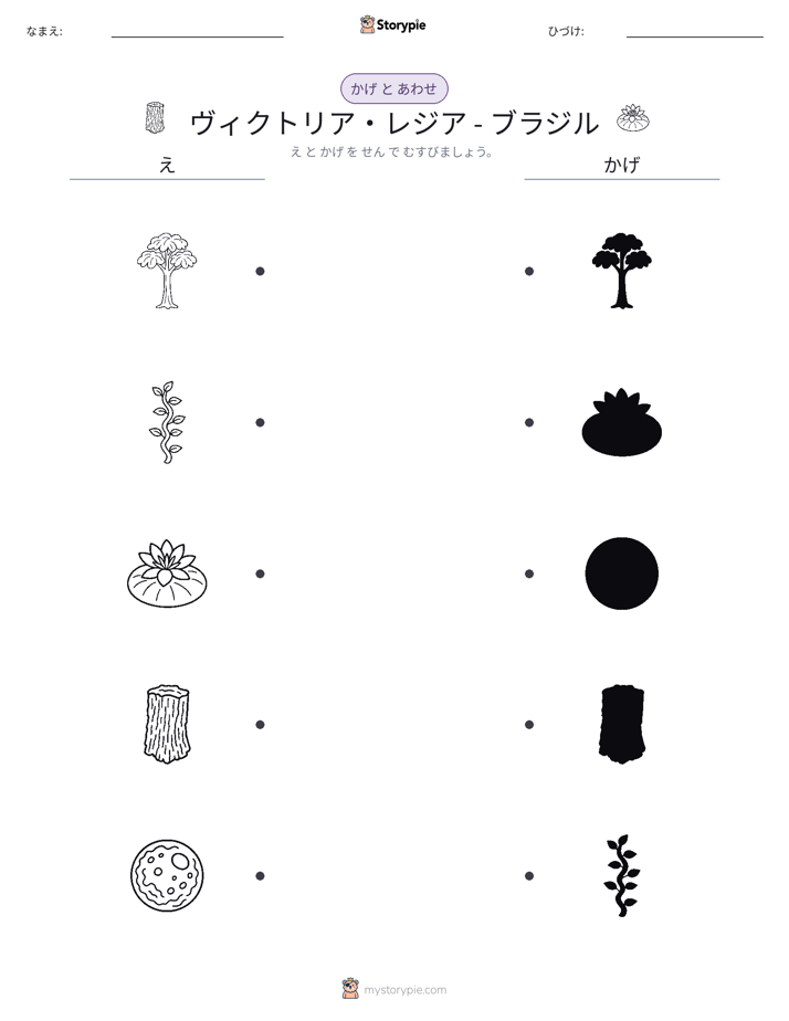 シャドウマッチ