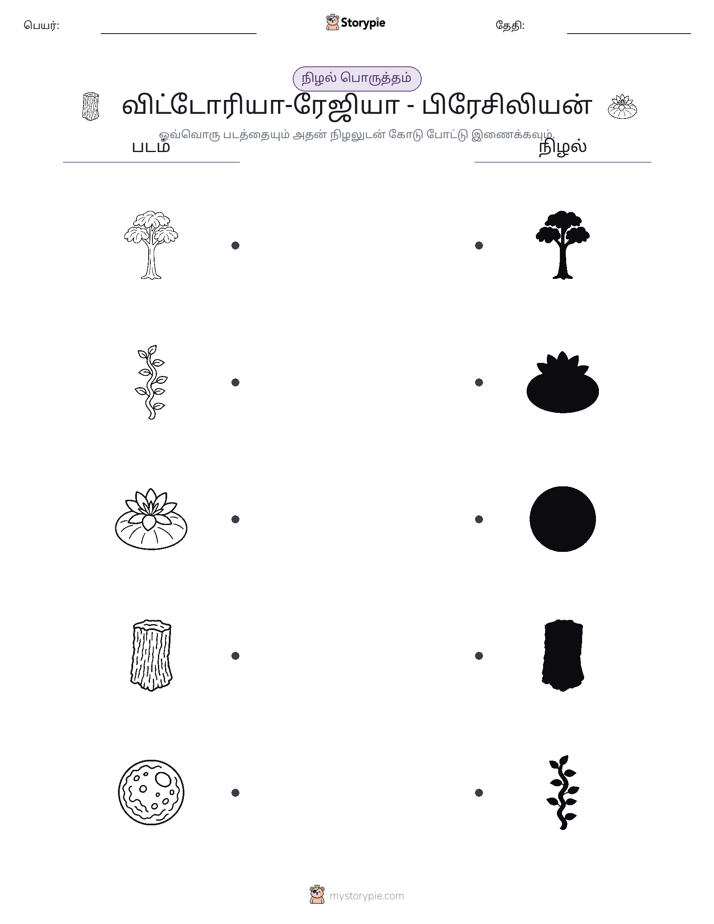 நிழல் பொருத்தம்
