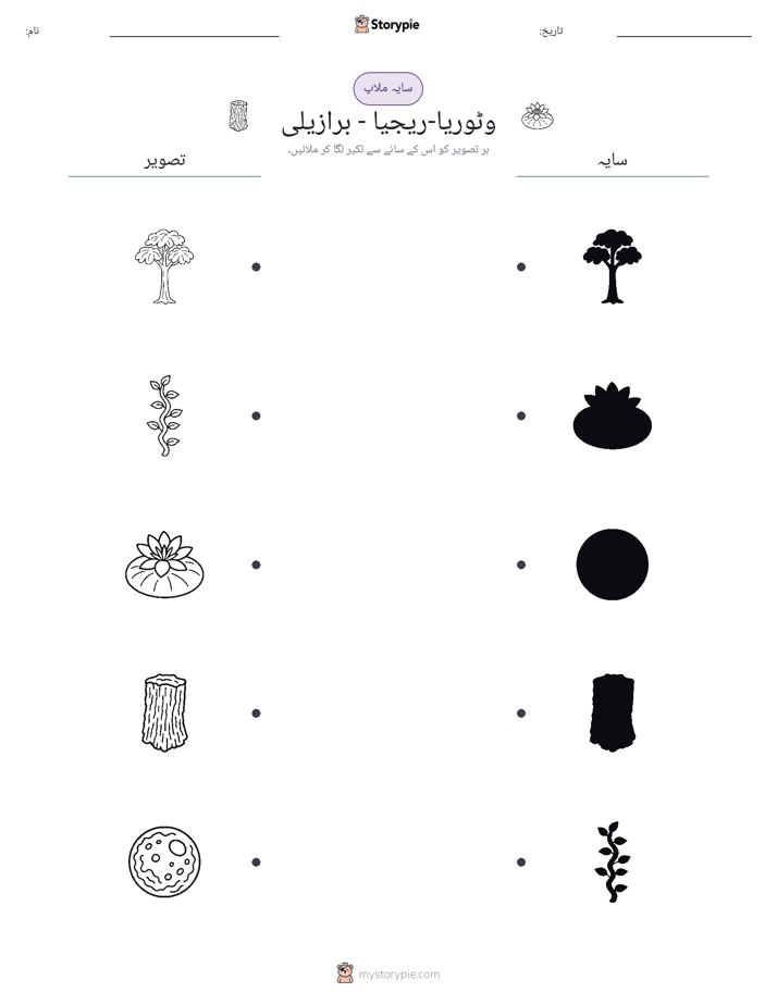 سایہ ملائیں