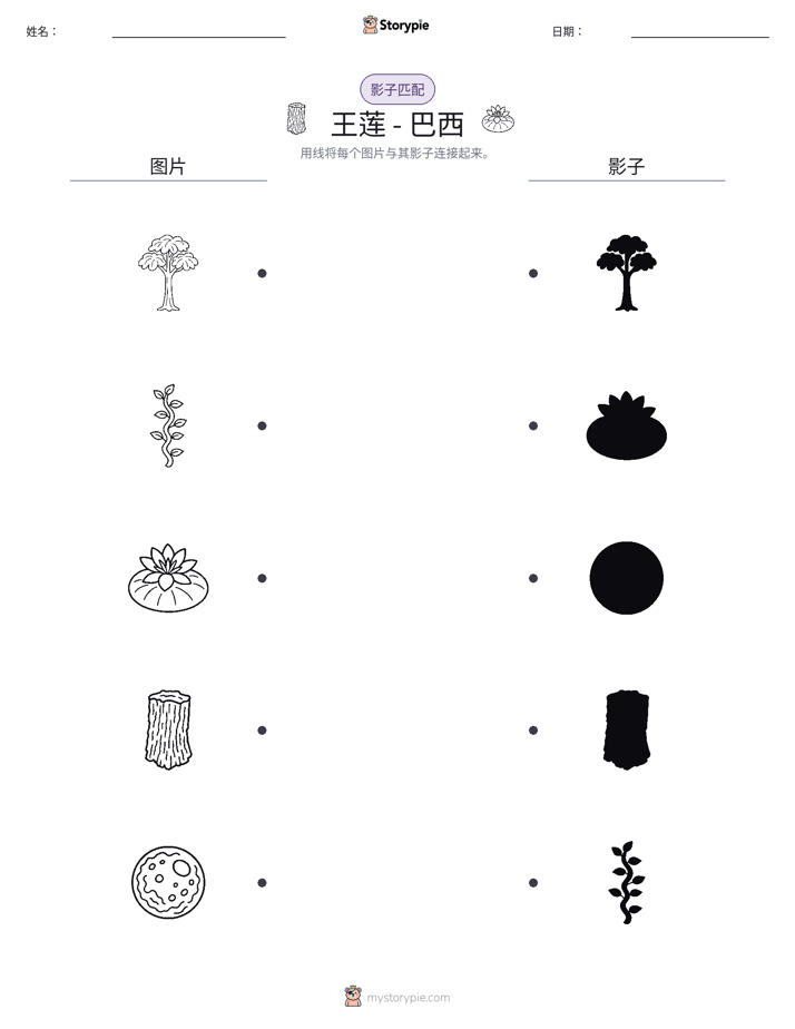 影子匹配