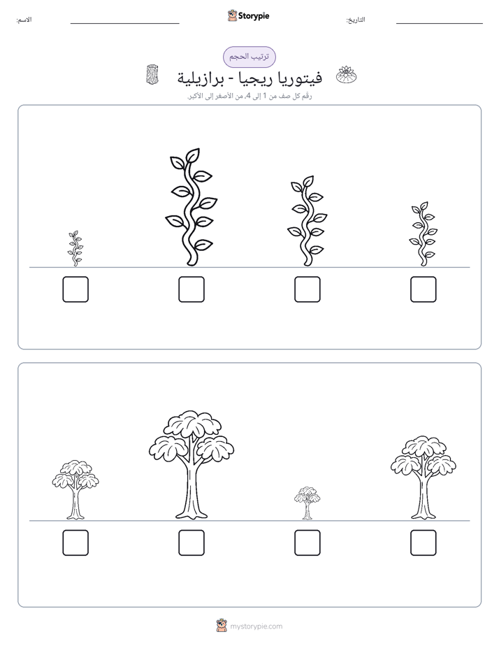 ترتيب الحجم