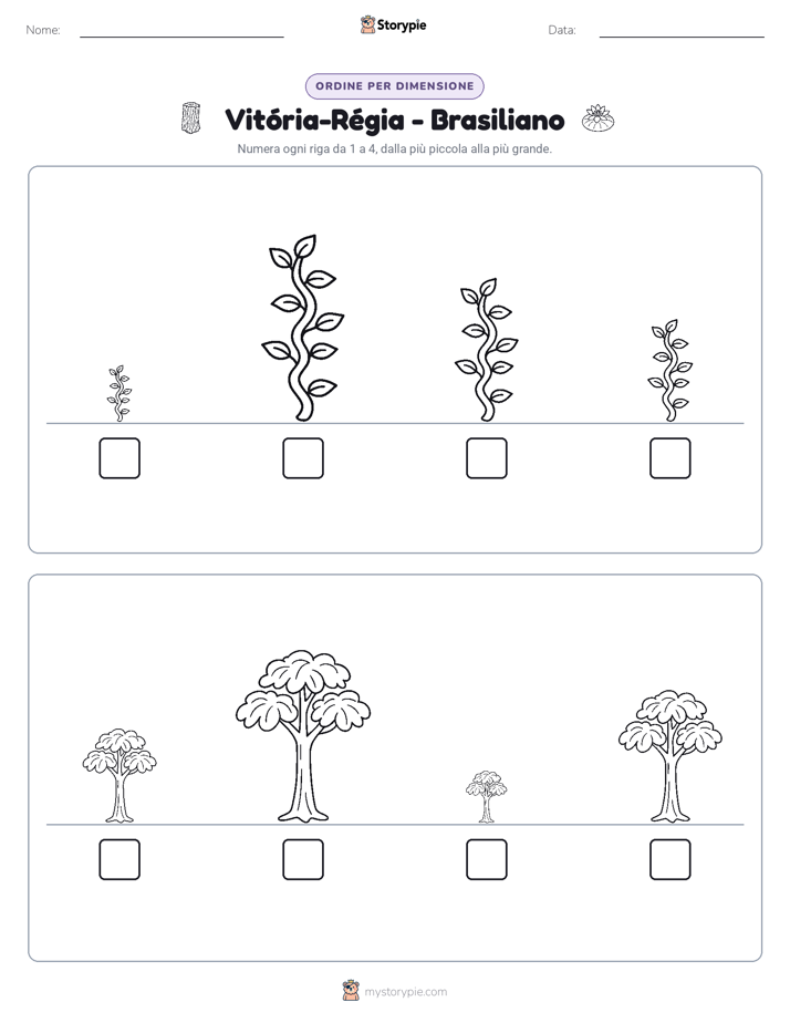 Ordine di Dimensione