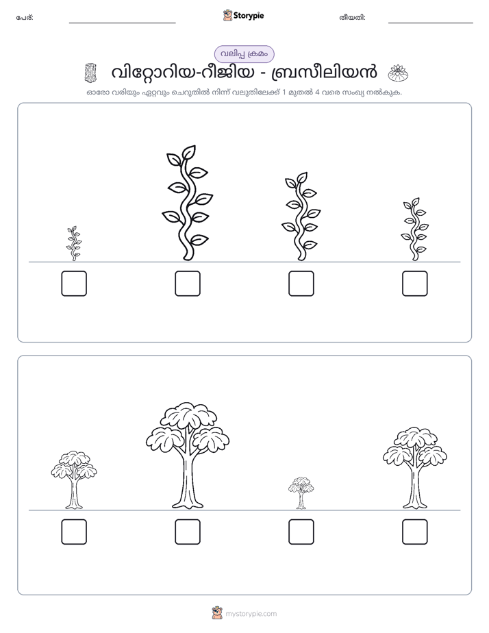 വലുപ്പം ക്രമം