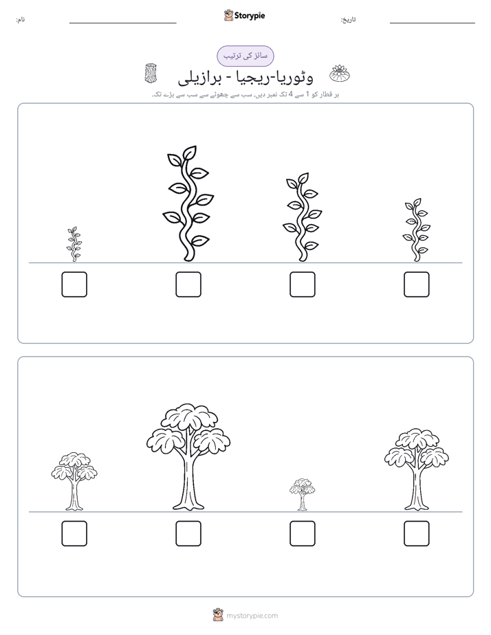 سائز کی ترتیب