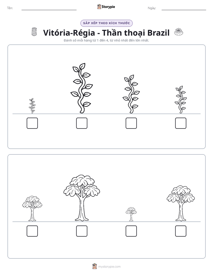 Thứ Tự Kích Thước