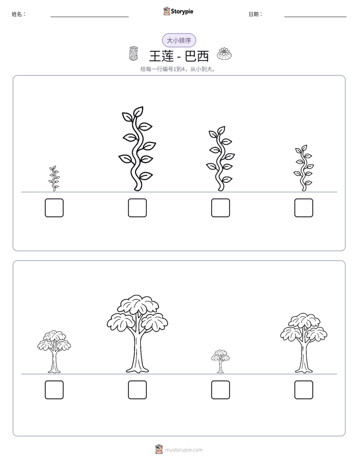 大小排序