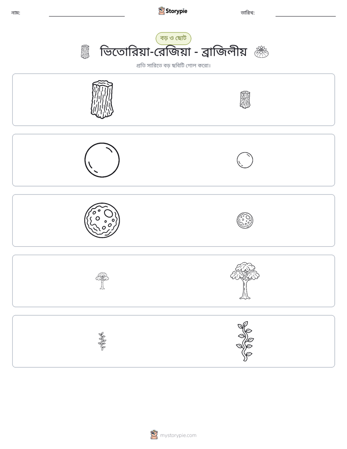 সাজানো