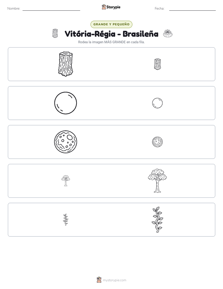 Clasificación
