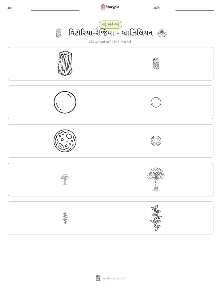 વર્ગીકરણ
