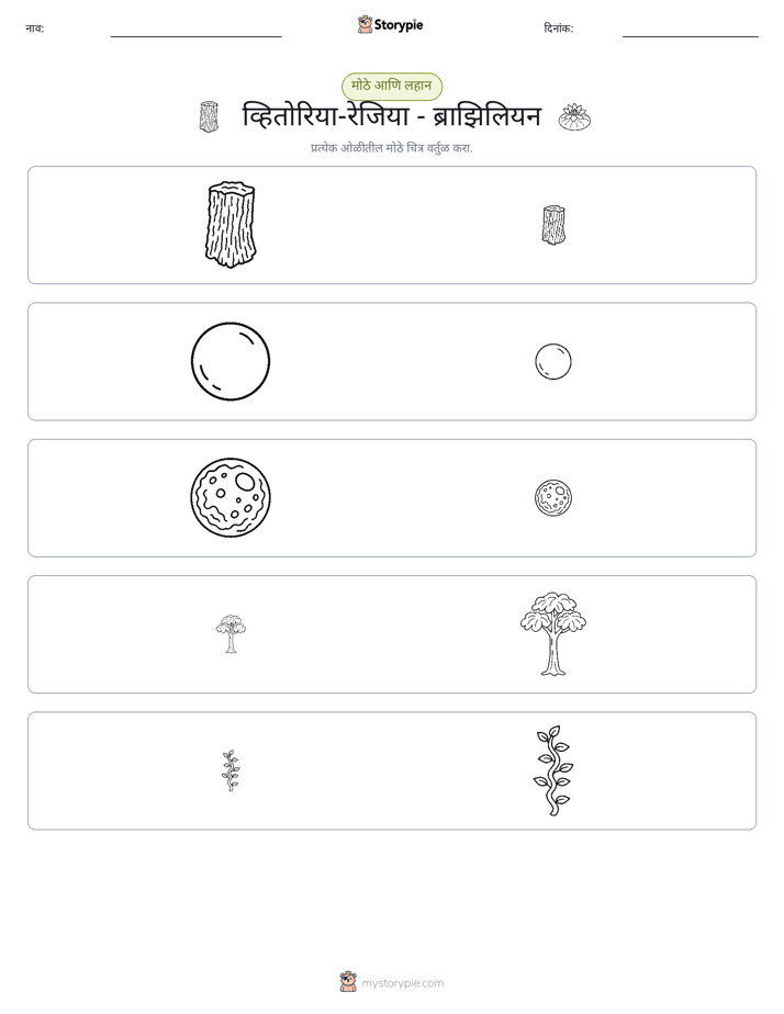 वर्गीकरण