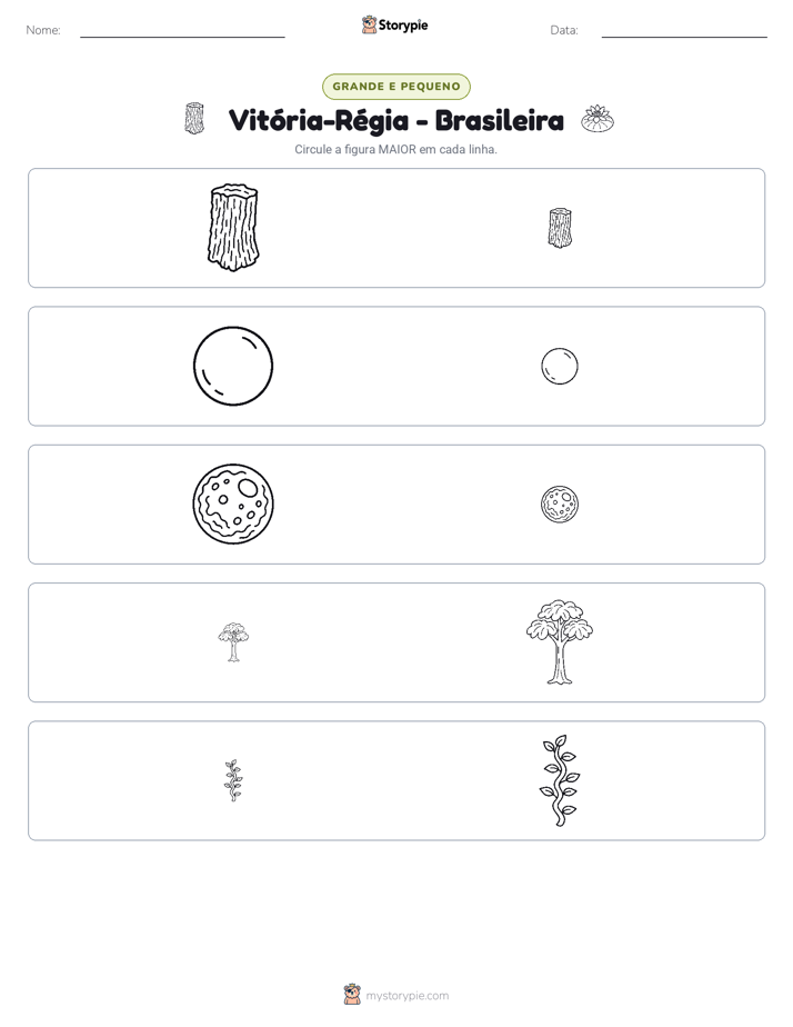 Classificação