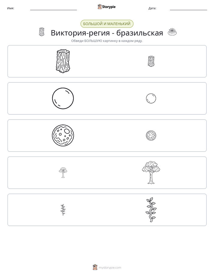 Сортировка