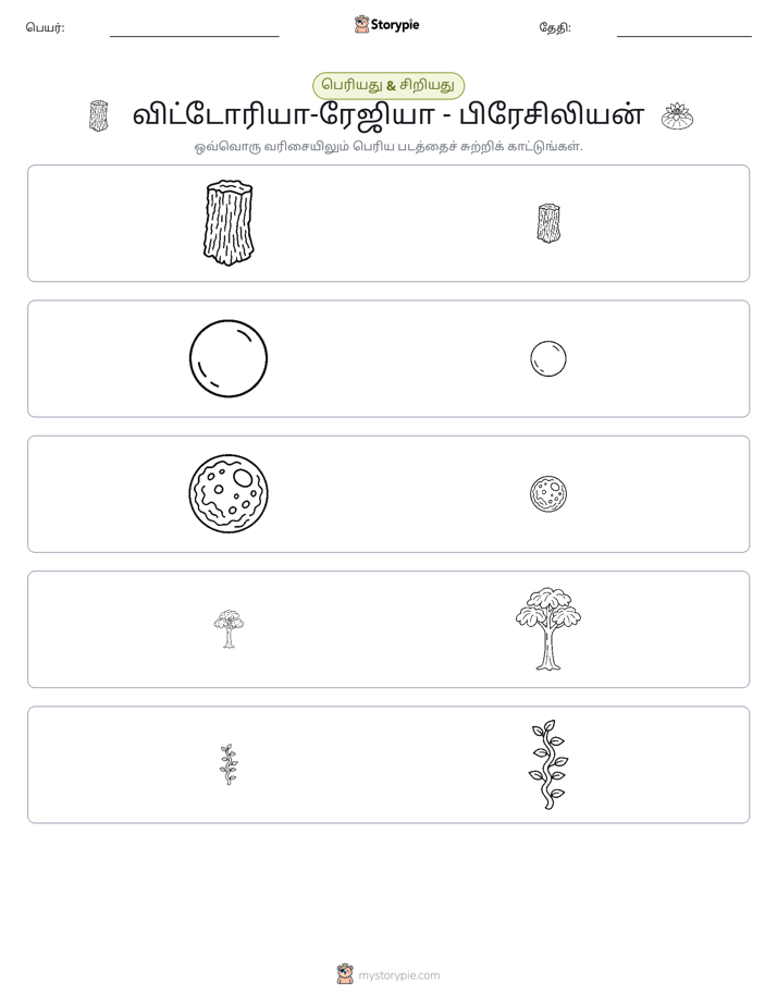 வகைப்படுத்தல்