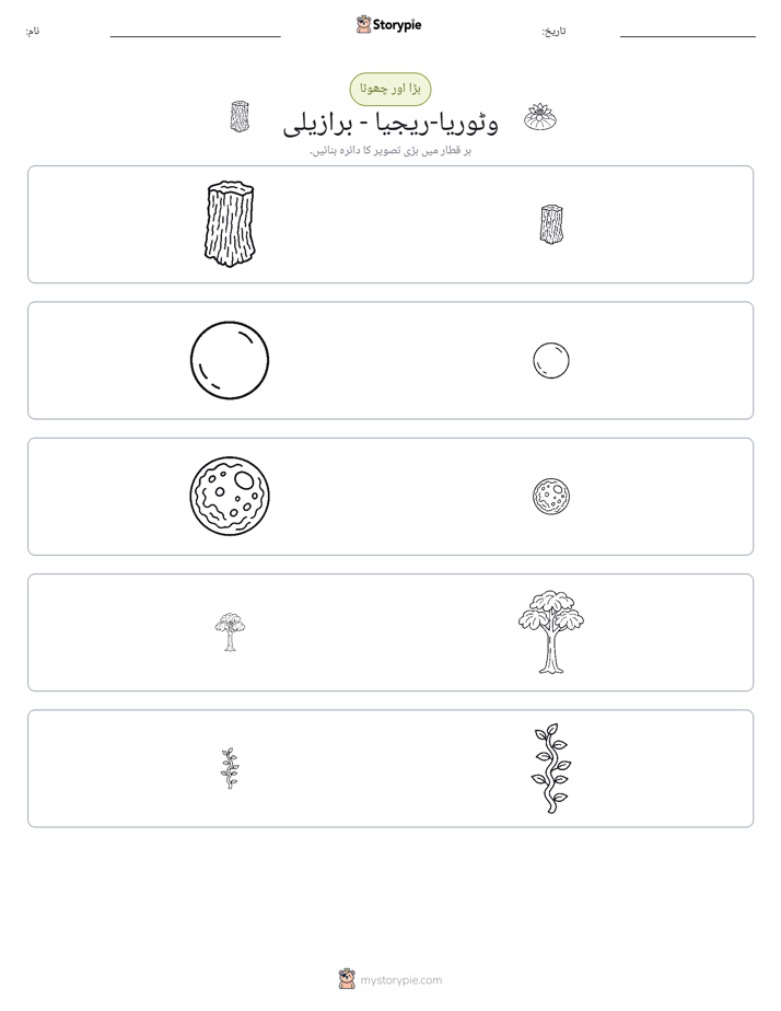 ترتیب دینا