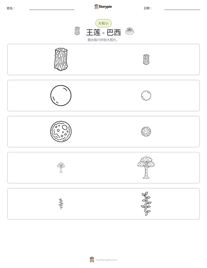 分类