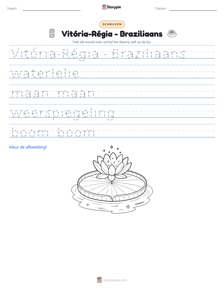 Schrijf Oefening