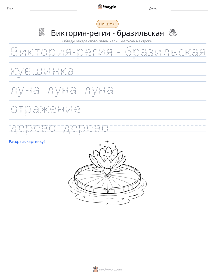 Практика письма