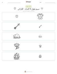 سیبو پھول کا افسانہ - گوارانی پرنٹ کرنے کے قابل ورکشیٹ کا پیش نظارہ