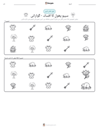سیبو پھول کا افسانہ - گوارانی پرنٹ کرنے کے قابل ورکشیٹ کا پیش نظارہ