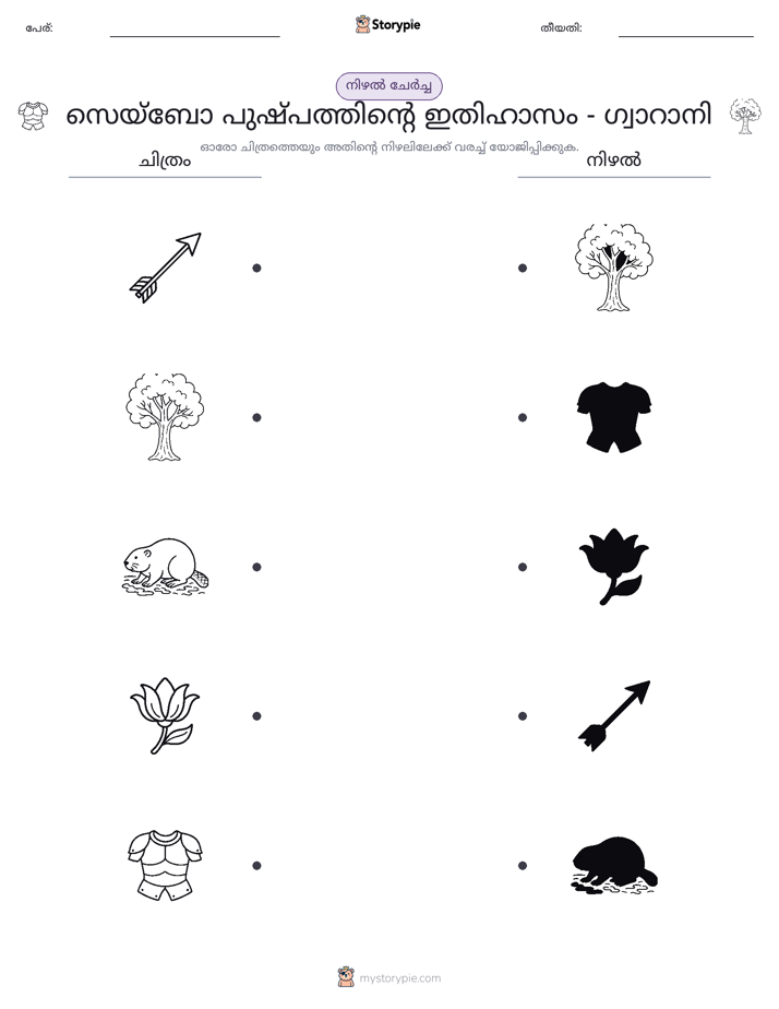 ഷാഡോ മാച്ച്