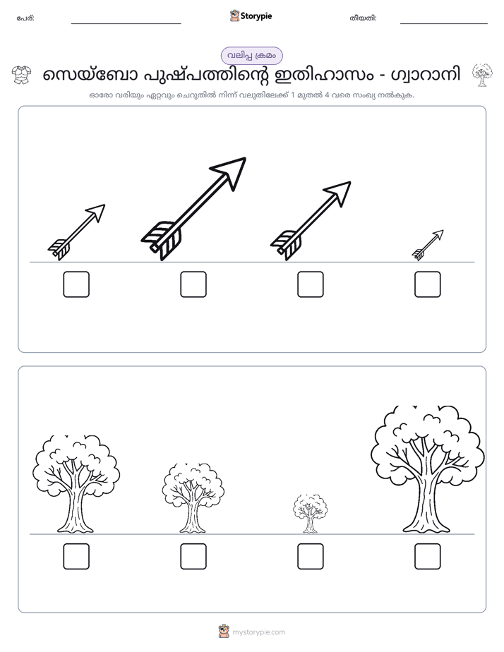 വലുപ്പം ക്രമം
