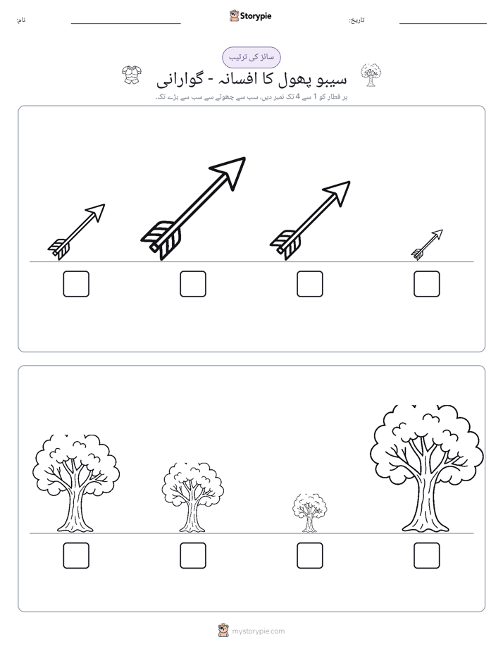 سائز کی ترتیب