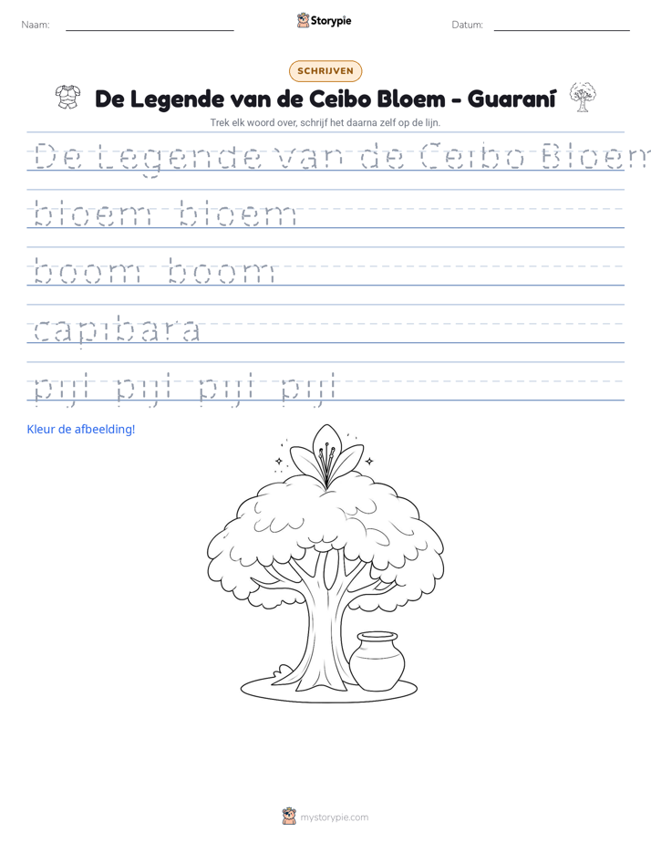 Schrijf Oefening