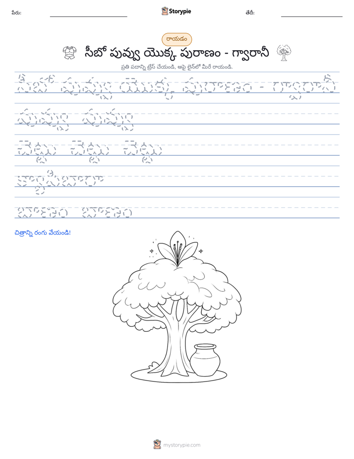 రాయడం సాధన