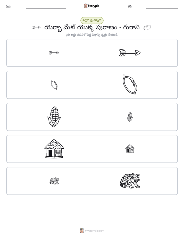 వర్గీకరణ