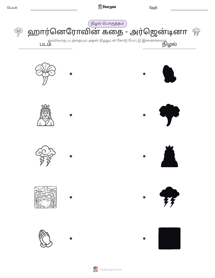 நிழல் பொருத்தம்