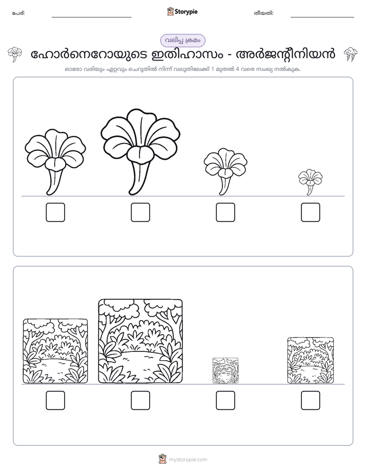 വലുപ്പം ക്രമം