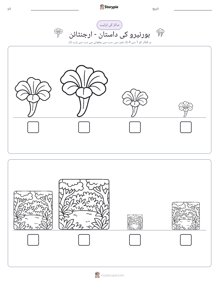 سائز کی ترتیب
