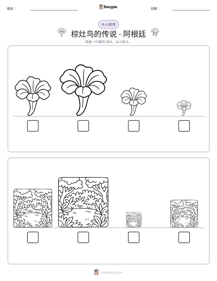 大小排序