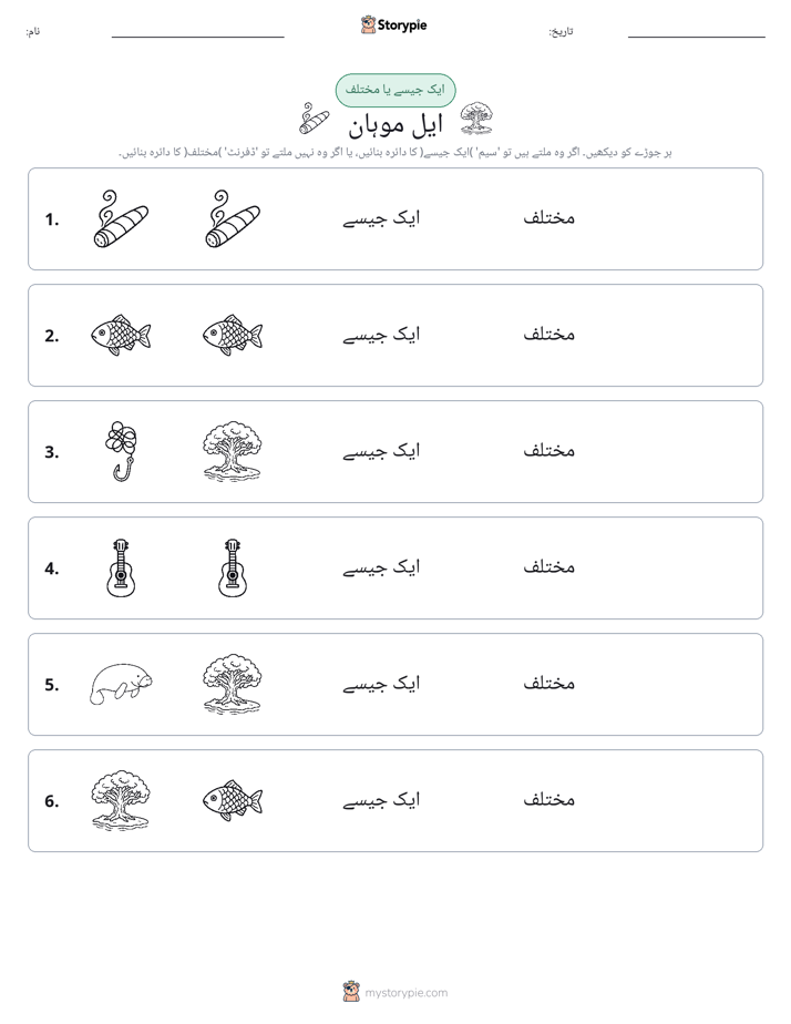 ایک جیسا یا مختلف