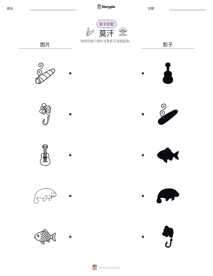 影子匹配