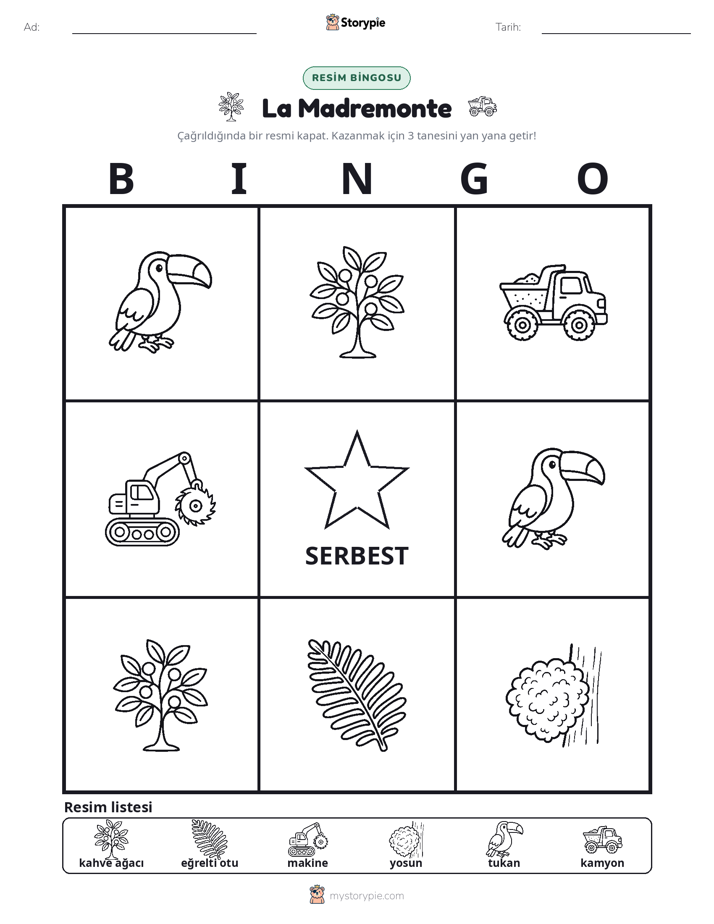 Resim Bingo