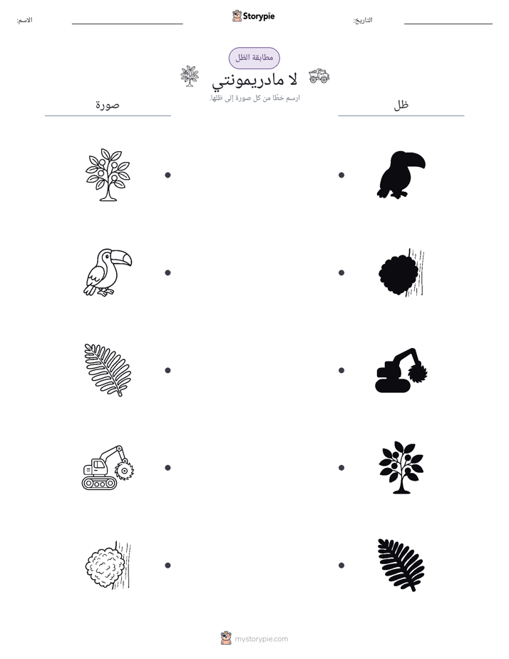 مطابقة الظل