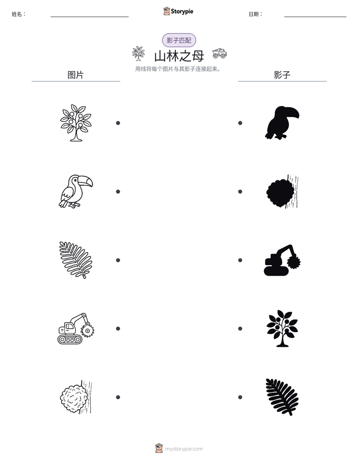 影子匹配