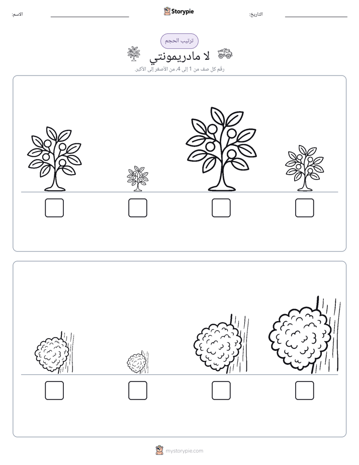 ترتيب الحجم