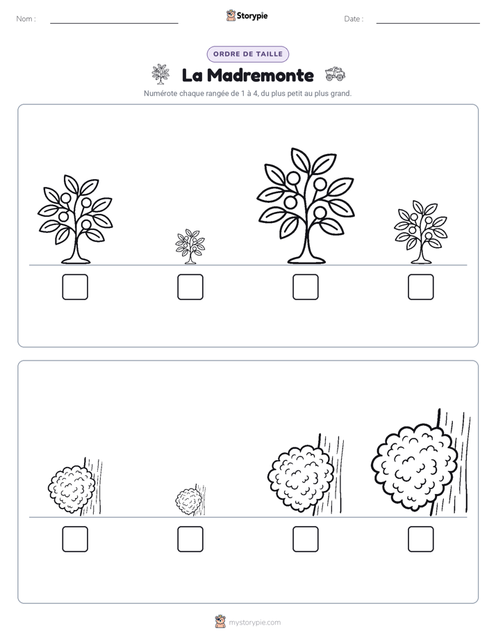 Ordre de Taille