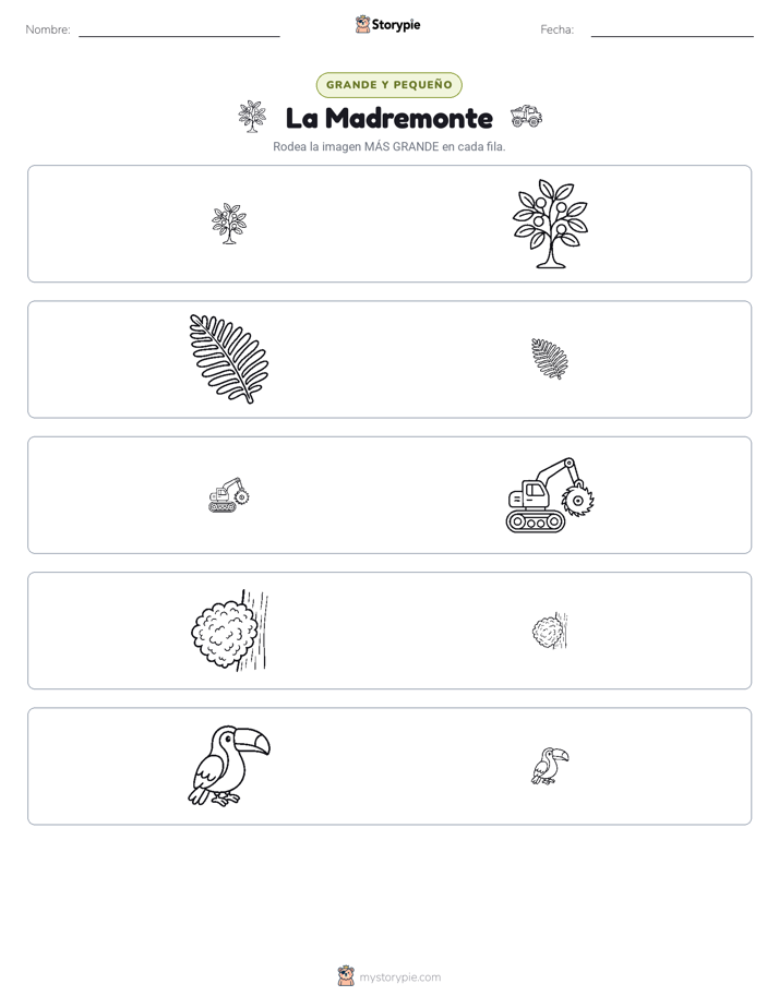 Clasificación